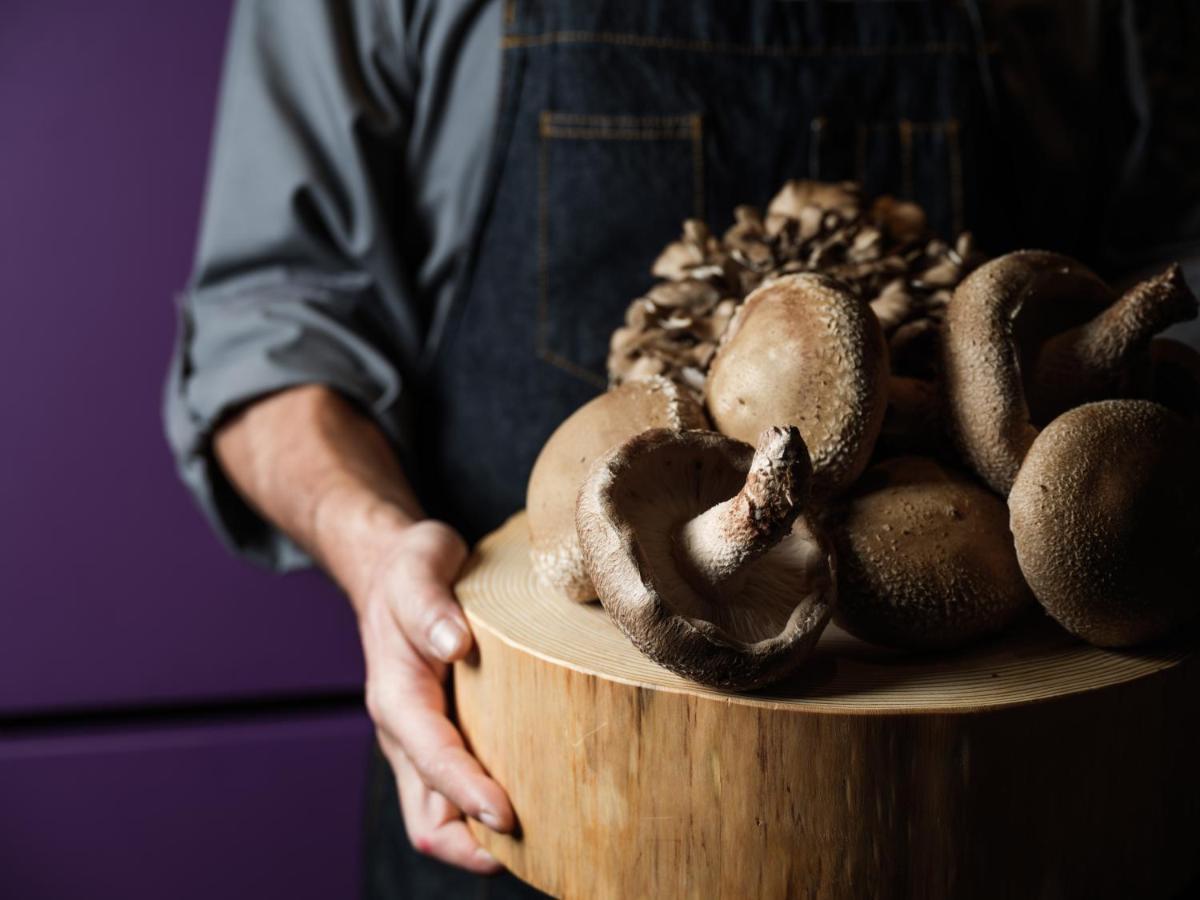 Hyatt Centric Kanazawa Exteriér fotografie Shiitake mushrooms